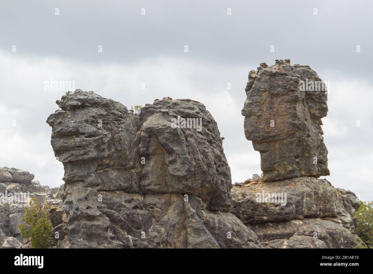Alcune rocce che assomigliano ai volti dei monti Cederberg Vicino a Clanwilliam nel capo occidentale del Sud Africa Foto Stock