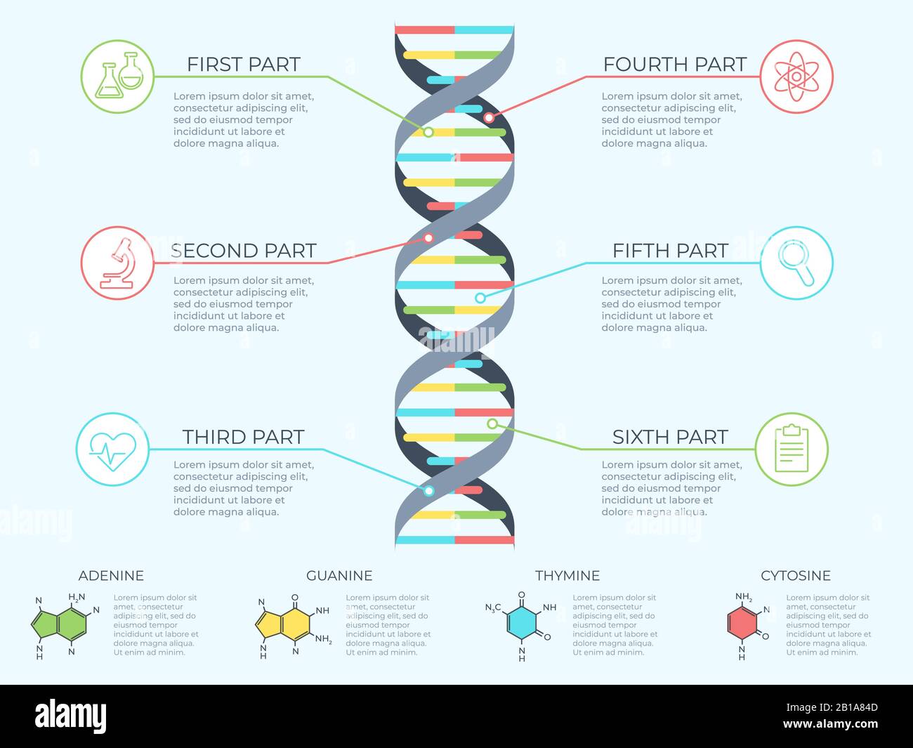 Infografica sul DNA. Spirale genetica, schema della molecola del modello genomico e illustrazione del concetto del vettore del diagramma della struttura del modello adn Illustrazione Vettoriale