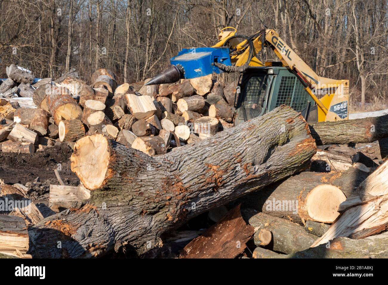 Memphis, Michigan - Lavoratori per la lavorazione avanzata di legna da  ardere tagliare tronchi per legna da ardere, che molti in questa zona  rurale utilizzano per riscaldare le loro case Foto stock -
