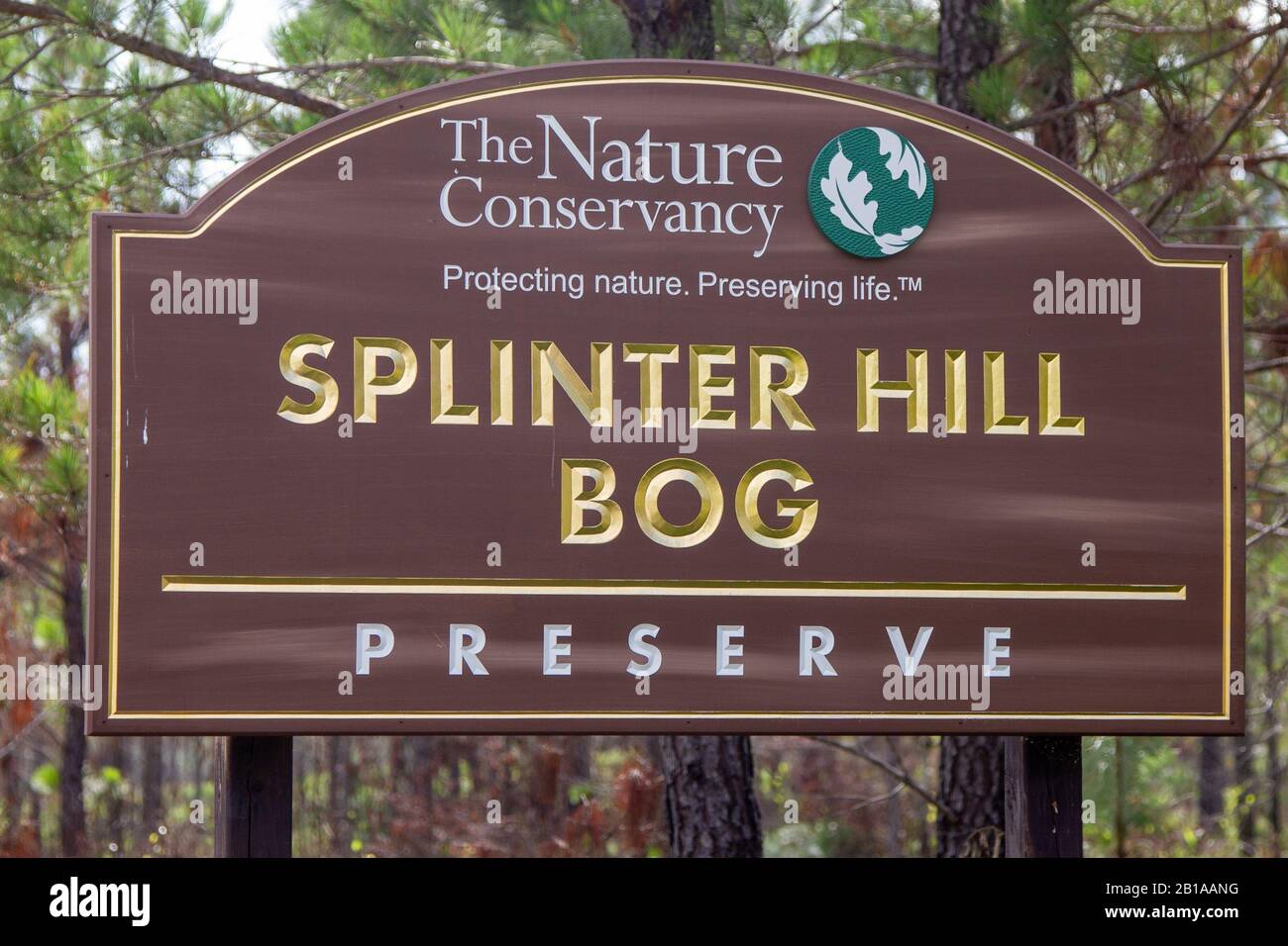 Segnale A Splinter Hill Bog, Alabama Foto Stock