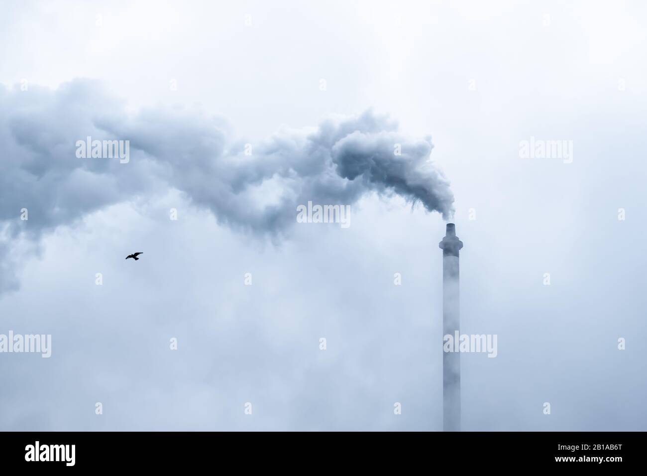 Glasgow, Scozia, Regno Unito. 24th febbraio 2020. Meteo Regno Unito. Strathclyde Distillery camino in un giorno coperto. Credito: Skully/Alamy Live News Foto Stock