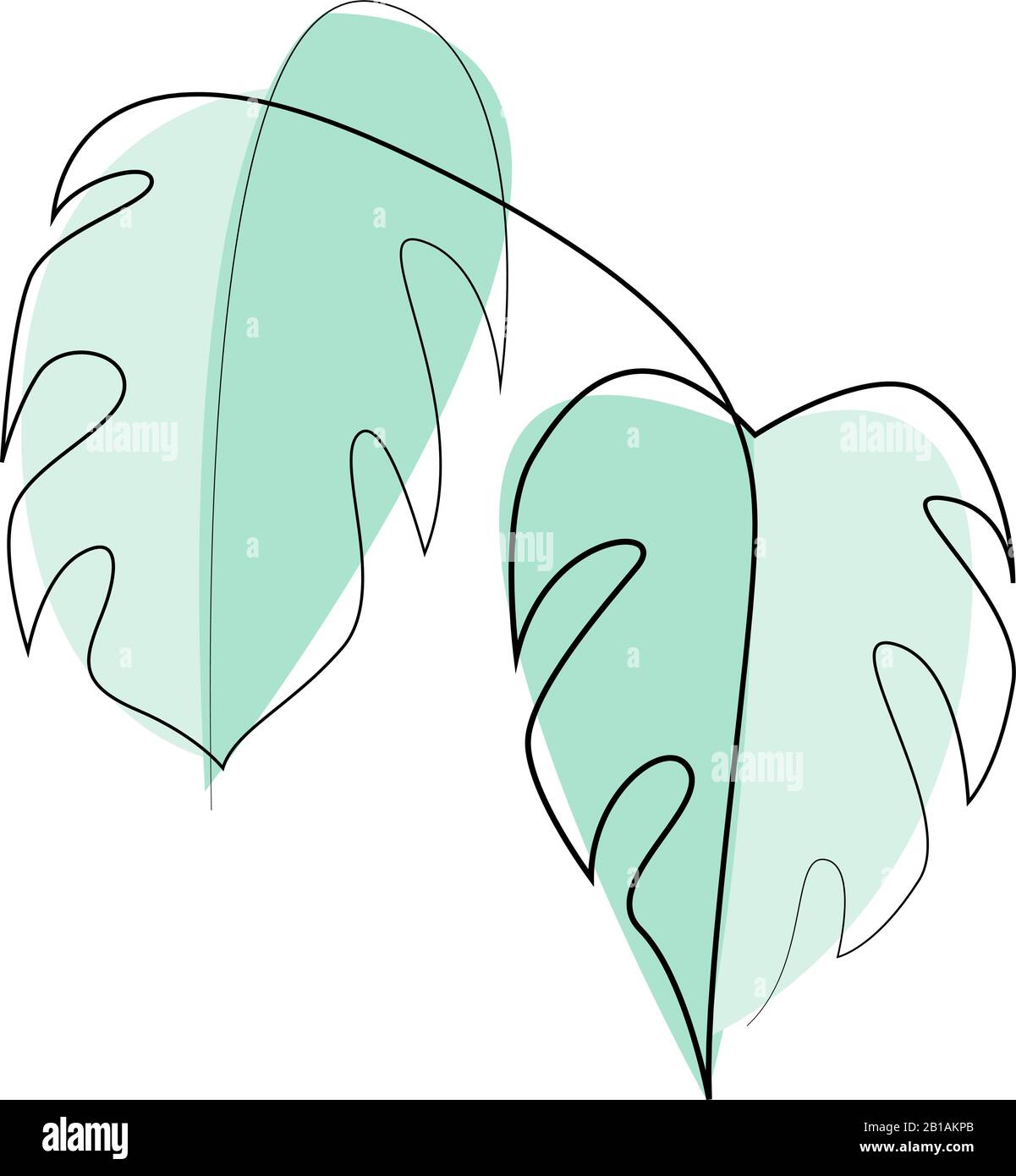 Mostera esotica continua una linea che disegna estate foglie tropicali disegnato a mano su sfondo bianco dal design minimalista. Illustrazione del vettore Illustrazione Vettoriale