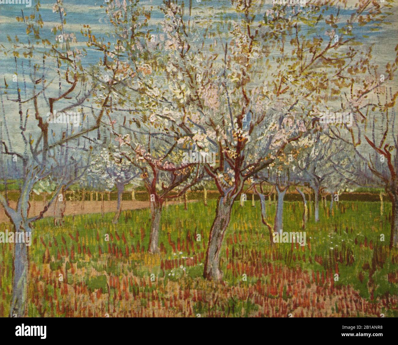 The Orchard, 1888 - dipinto di Vincent van Gogh - immagine Ad Altissima risoluzione e qualità Foto Stock