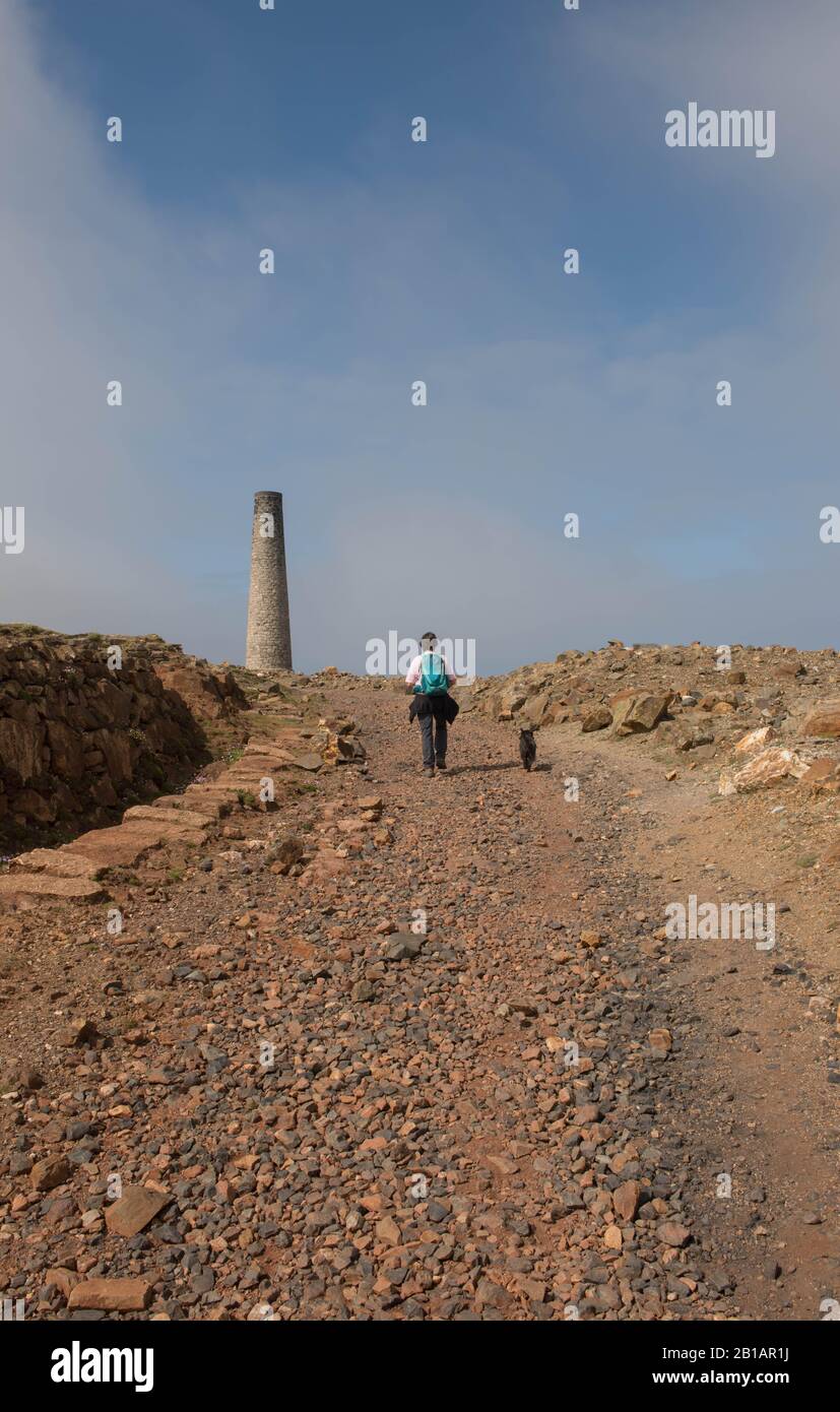 Femmina e un cane nero schnoodle a piedi sul South West Coast Path con un Chimney Stack in background alla Cornish Tin Mine di Geevor Foto Stock