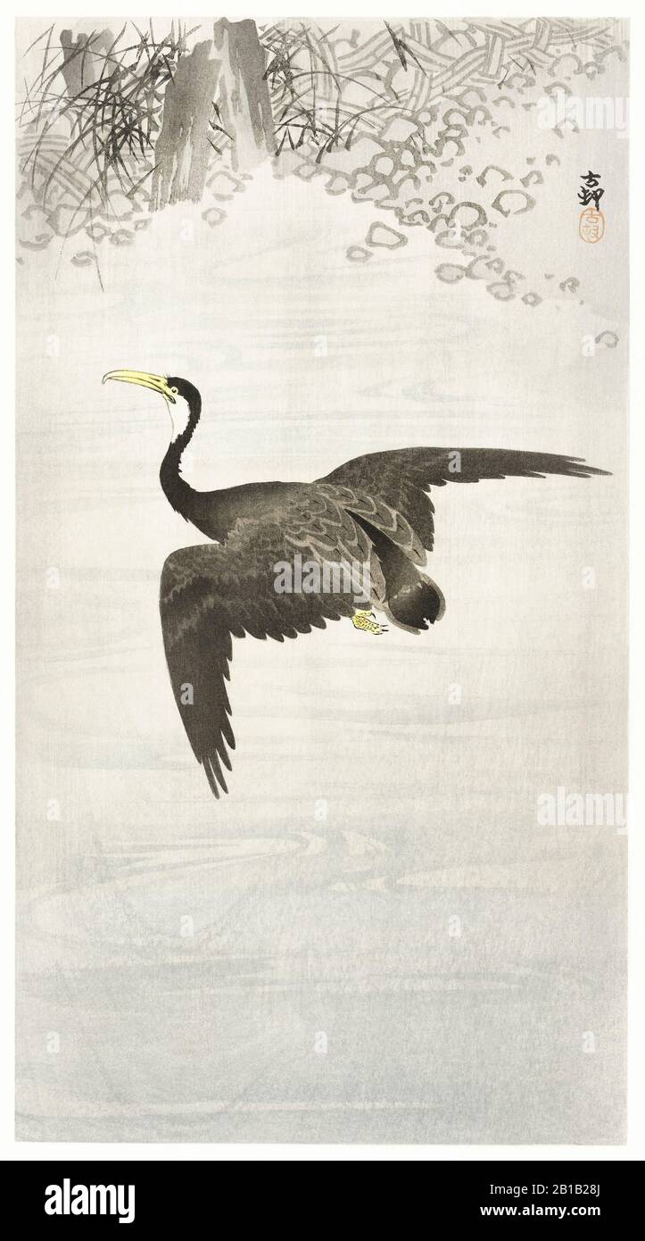 Un'illustrazione d'epoca con uccelli Foto Stock