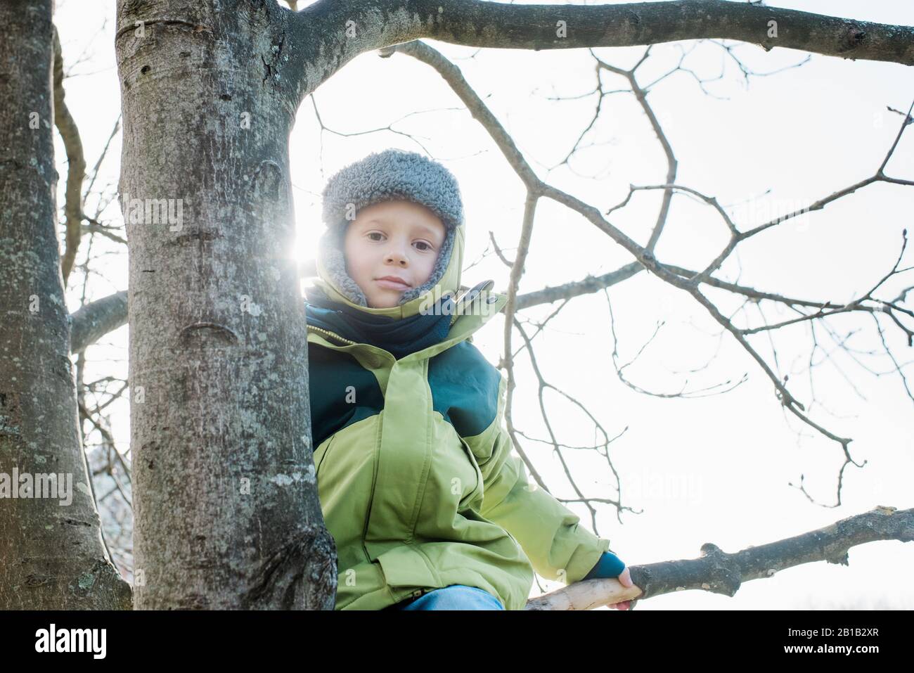 ritratto di ragazzo seduto su un albero in una bella giornata d'inverno Foto Stock