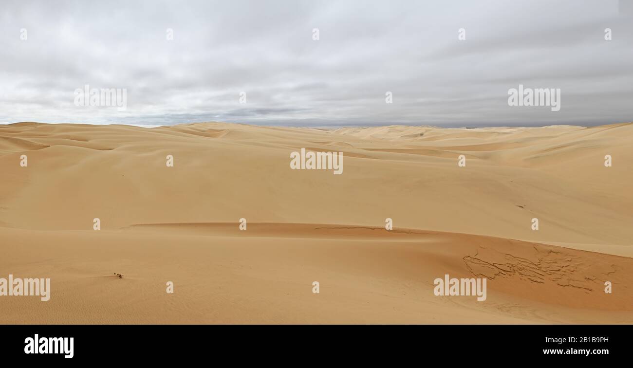 Deserto Sands Della Namibia Foto Stock