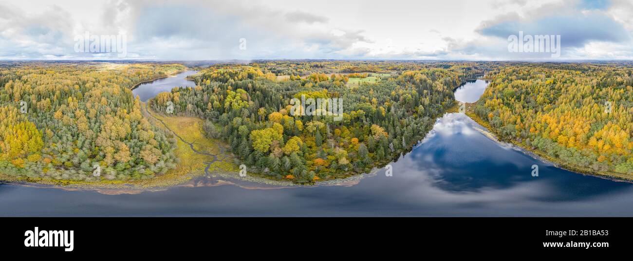 Foresta in autunno colori. Rosso, giallo, arancio, verde alberi decidui in autunno. Paganamaa, Estonia, Europa Foto Stock