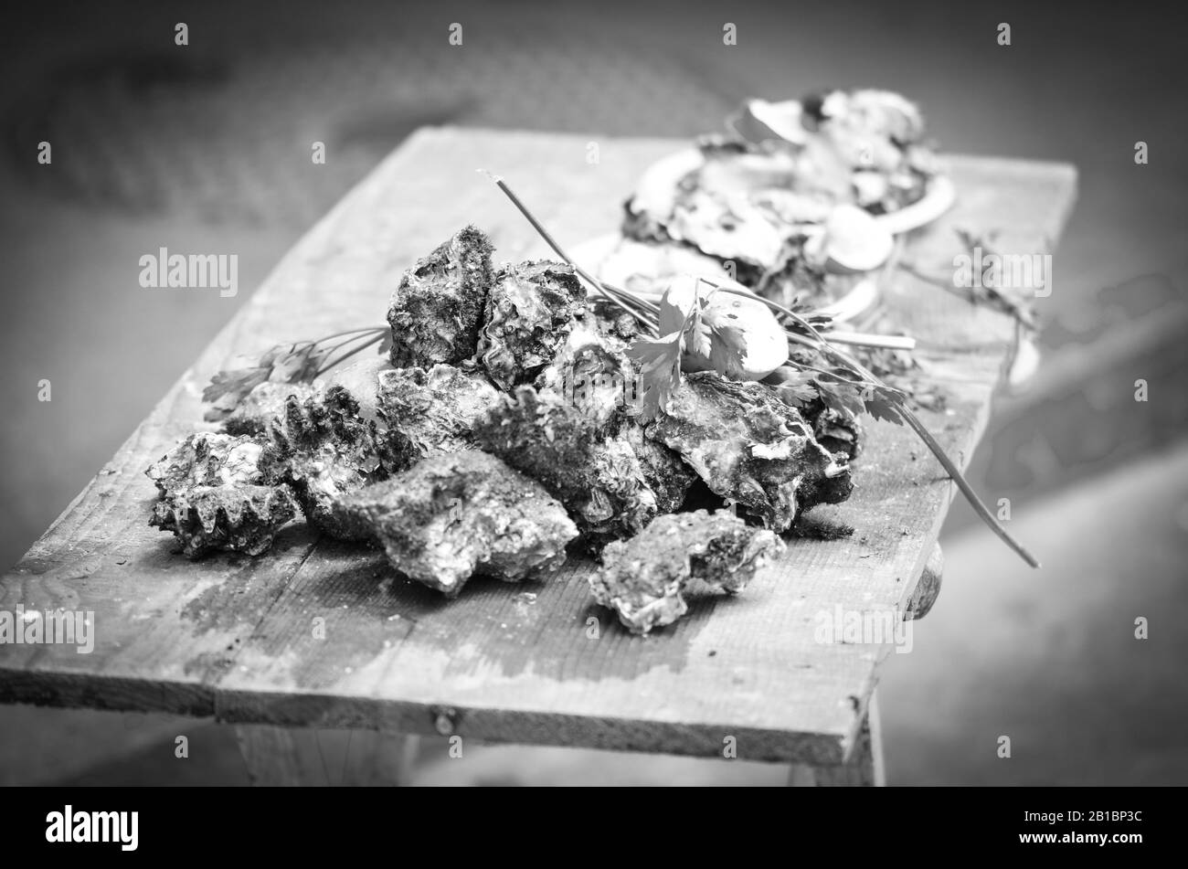 pesce fresco misto all'interno del mercato del pesce - polpi, conchiglie, ostriche, gamberi, calamari, pesce Foto Stock