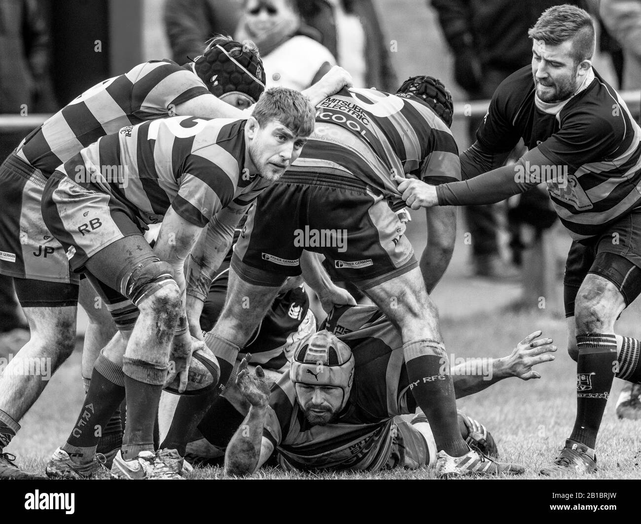 Giocatori dilettanti di Rugby Union che giocano in una partita di campionato. Foto Stock