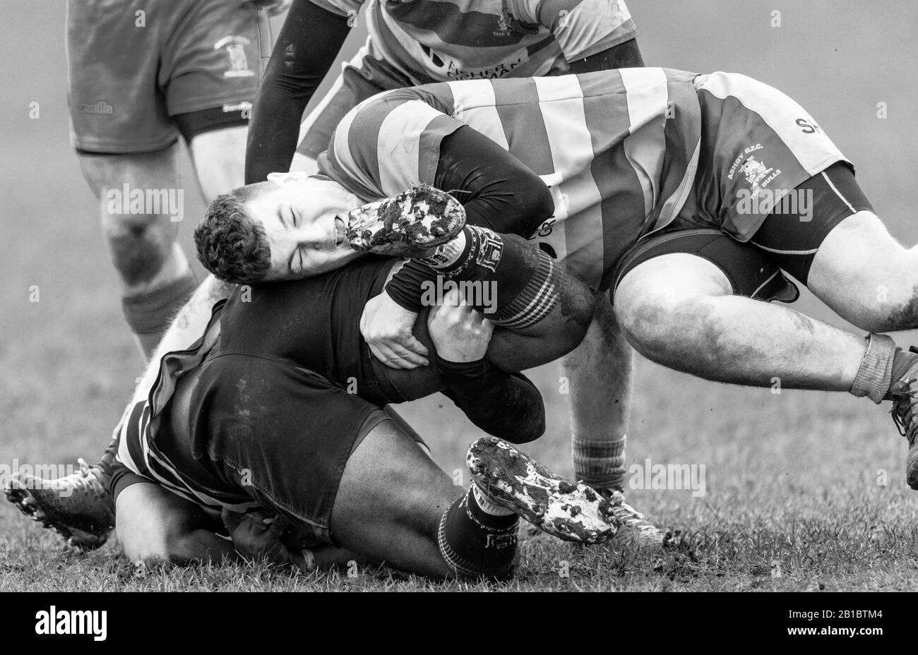 Giocatori dilettanti di Rugby Union che giocano in una partita di campionato. Foto Stock