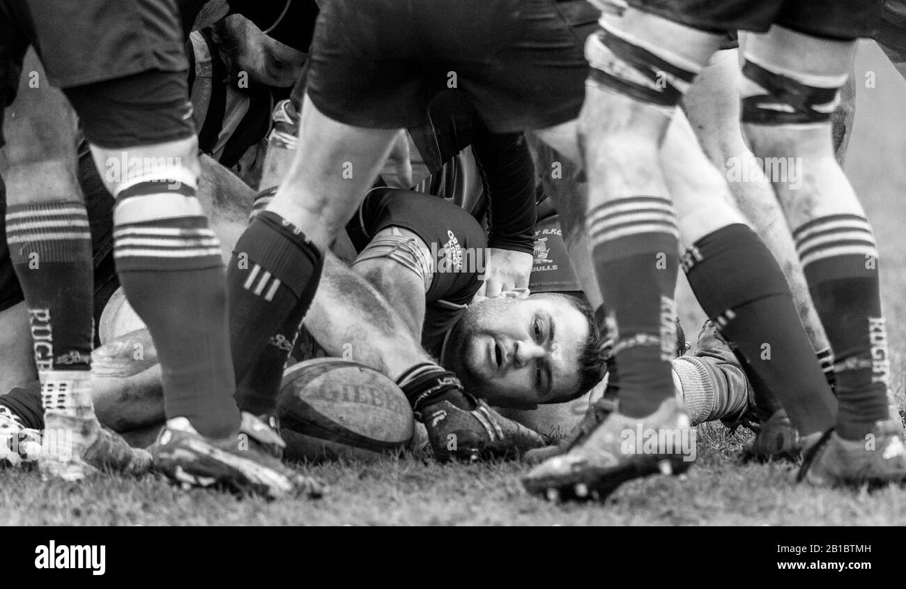 Giocatori dilettanti di Rugby Union che giocano in una partita di campionato. Foto Stock