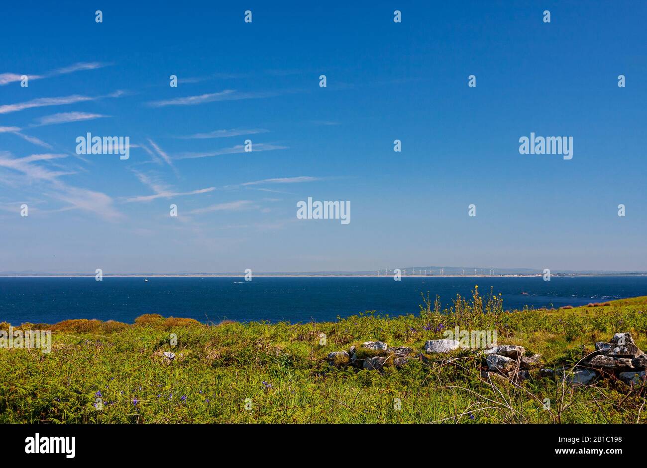 Vista panoramica del paesaggio da Saltee Island attraverso il mare alla costa di Wexford con turbine eoliche in lontananza. Centrale eolica che genera elettricità. Cielo blu Foto Stock