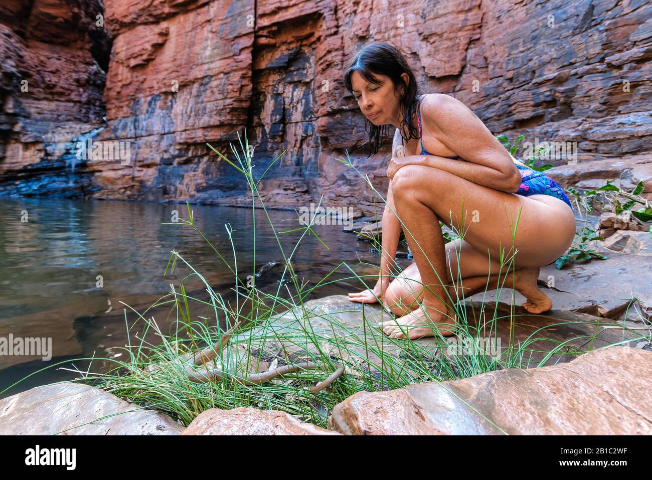 Un turista femminile in costume da bagno, in una gola Karajini billabong, si accovacciano curiosamente accanto ad una lucertola ugualmente inquisitive e senza gambe in faccia. Foto Stock