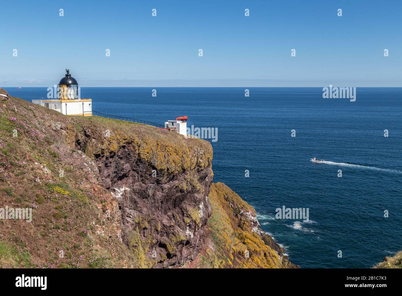 Situato tra scogliere spettacolari e stacks di mare, il faro di St Abbs Head nella Riserva naturale St Abbs Head, Berwickshire, Scozia Foto Stock