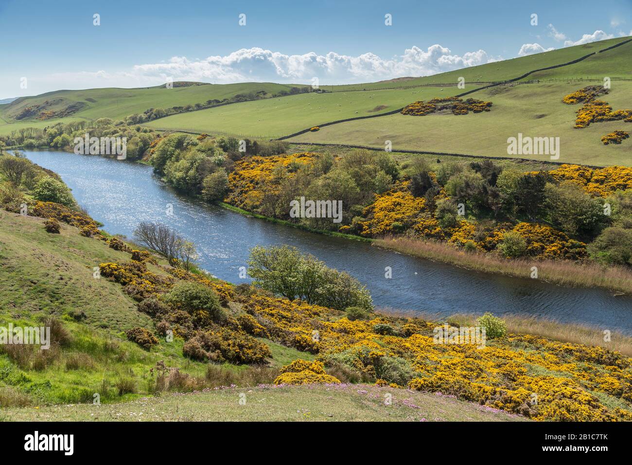 Il lago di St Abbs, situato nel Berwickshire, in Scozia, è una parte importante Della Riserva naturale nazionale di St. Abbs Head, che ospita uccelli d'acqua dolce Foto Stock