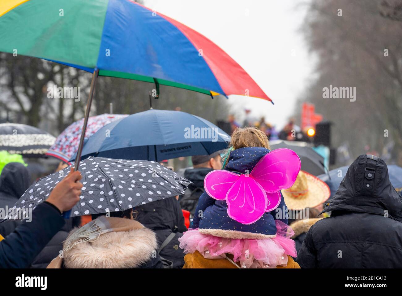 Rose Lunedi processione a DŸsseldorf, carnevale di strada, tempo piovoso, Foto Stock