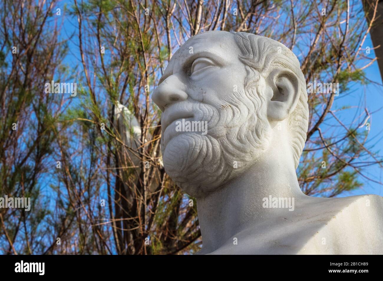 Il filosofo Theofrastos, allievo di Aristotele e successore di Aristotele nella scuola Peripatetica. Foto Stock