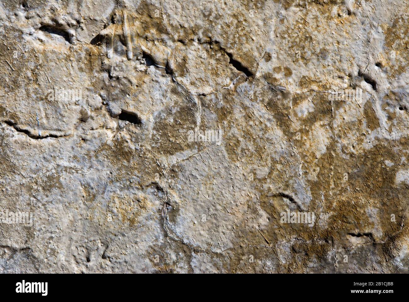 Sfondo testurizzato di pietra e cemento da un edificio storico in Carolina del Sud. Foto Stock