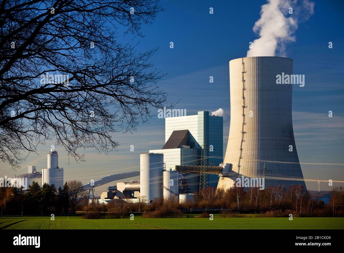Centrale a carbone Datteln IV, Germania, Renania settentrionale-Vestfalia, Ruhr Area, Datteln Foto Stock