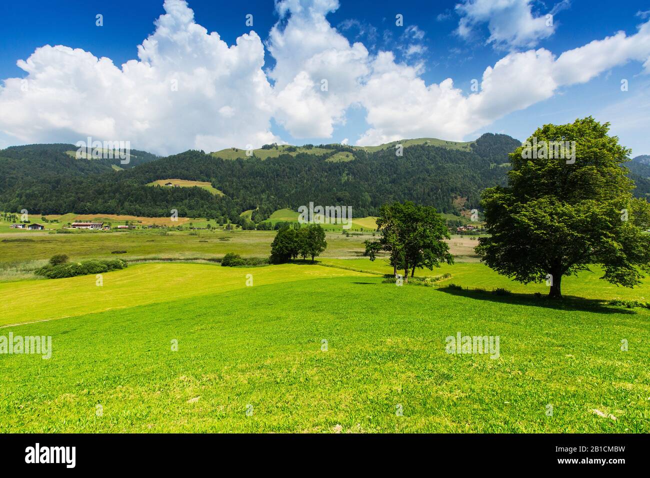 Paesaggio di Moor Schwemm, Austria, Tirolo, Schwemm, Walchsee Foto Stock