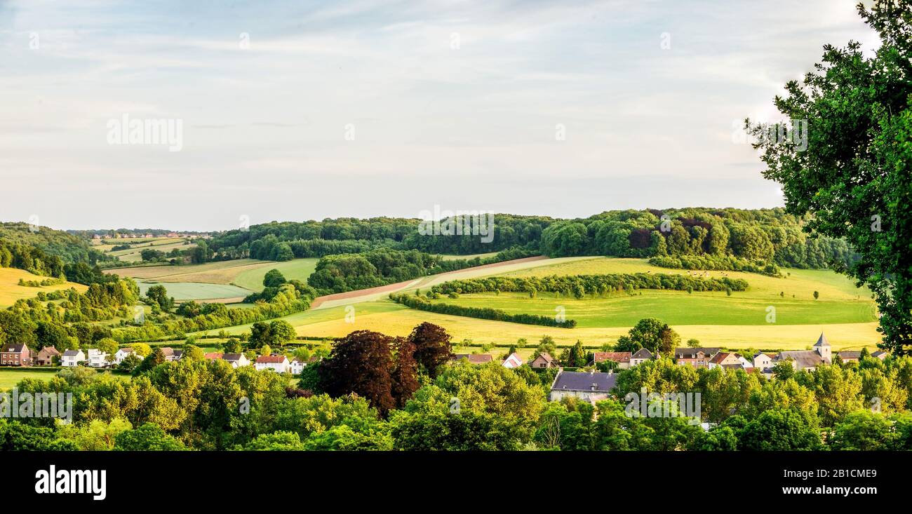 Vista su Gerendal, Paesi Bassi, Limburg Foto Stock