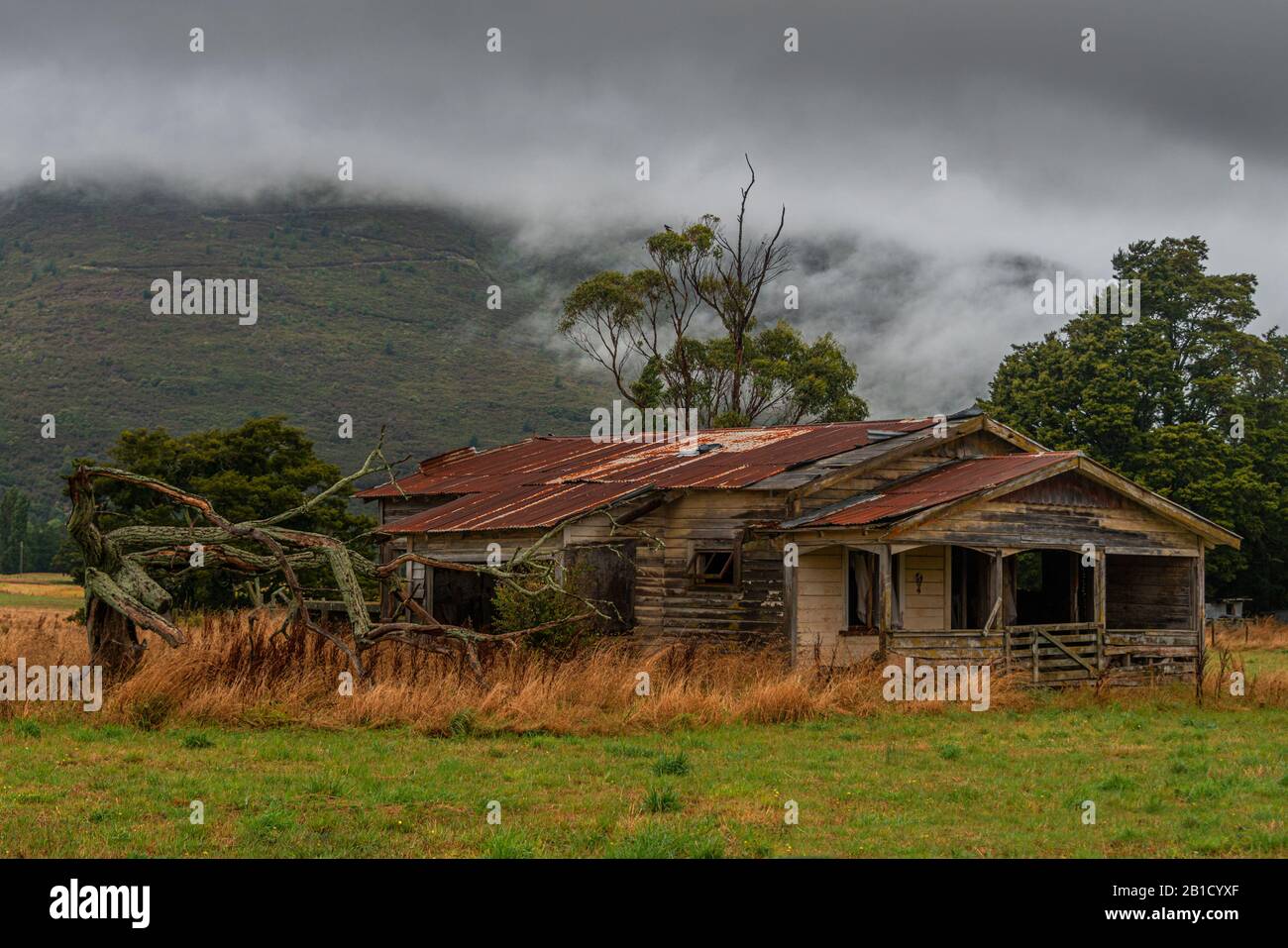 Abbandonata la casa dei primi del 1900 vicino a Takaka, nella regione di Marlborough della South Island della Nuova Zelanda. Foto Stock