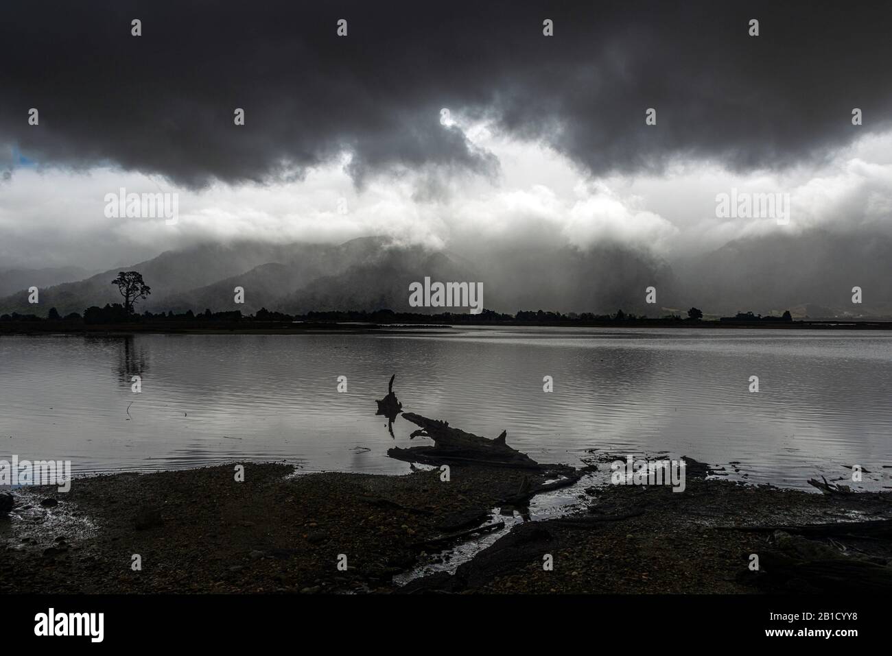 Moody ha coperto l'illuminazione al Collingwood Inlet, nella regione di Marlborough della South Island della Nuova Zelanda. Foto Stock