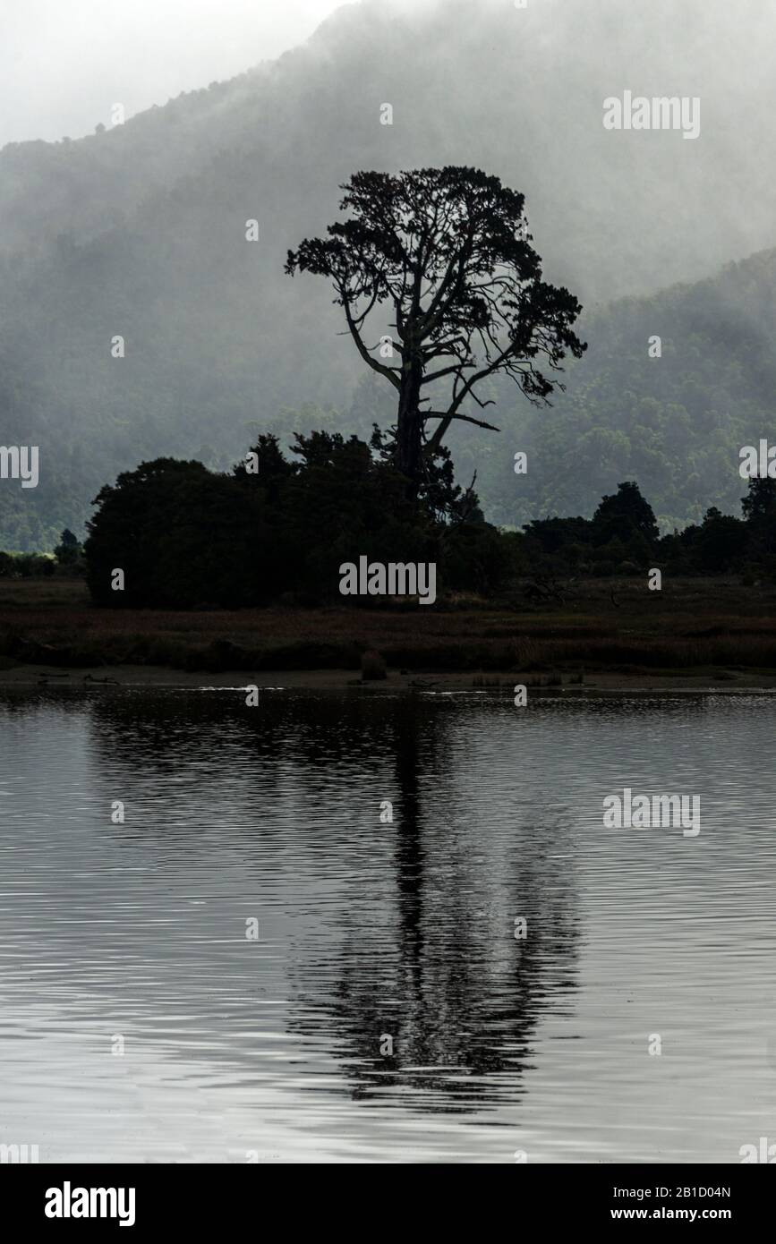 Moody ha coperto l'illuminazione al Collingwood Inlet, nella regione di Marlborough della South Island della Nuova Zelanda. Foto Stock