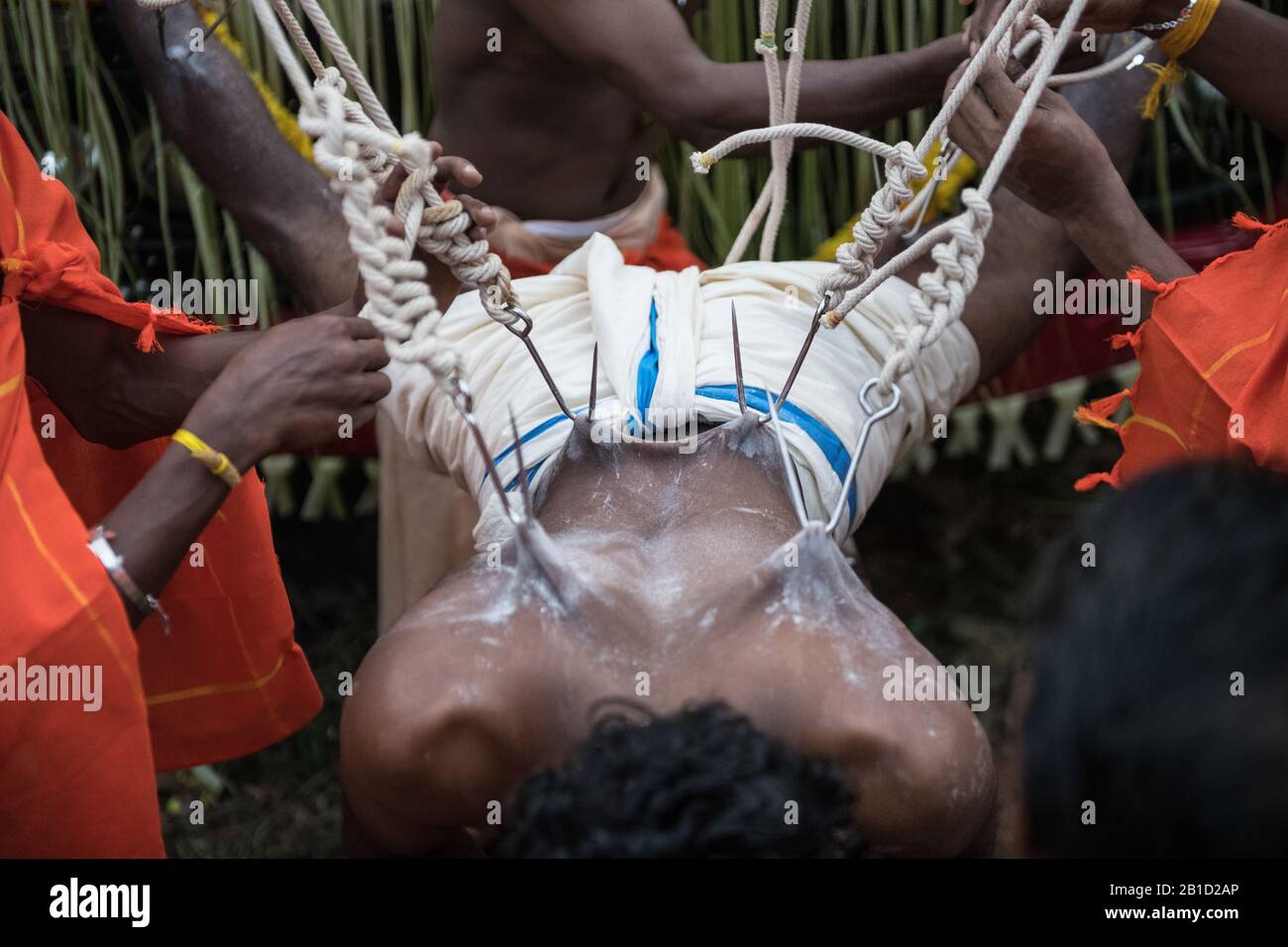 Devoto appeso da piercing gancio come un atto ritualistico di devozione, Garudan Thookkam, durante Thaipooyam (Thaipoosam) a Kedakulam, Kerala, India. Foto Stock