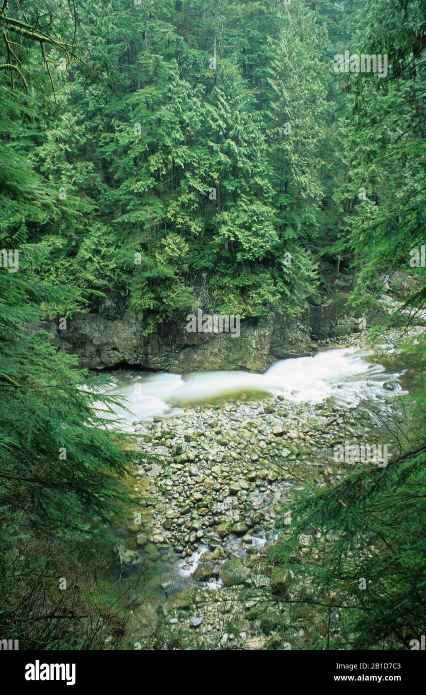 Fiume Capilano, Parco Regionale Del Fiume Capilano, Columbia Britannica, Canada Foto Stock