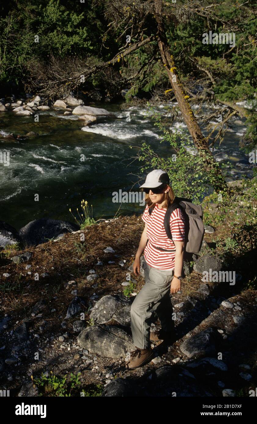 Stein River Trail, Stein Valley Nlaka'Pamux Heritage Park, British Columbia, Canada Foto Stock