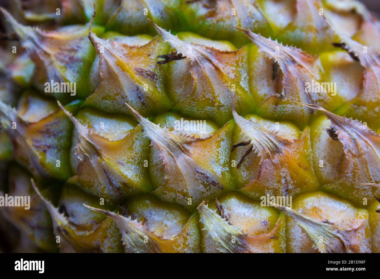 Vista ravvicinata della texture della pelle di ananas. Foto Stock