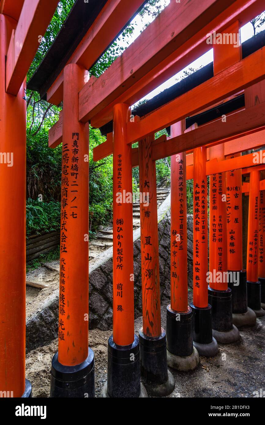Dettaglio delle lettere kanjii scolpite nei cancelli rossi del torii al santuario di Fushimi Inari, Kyoto, Giappone Foto Stock