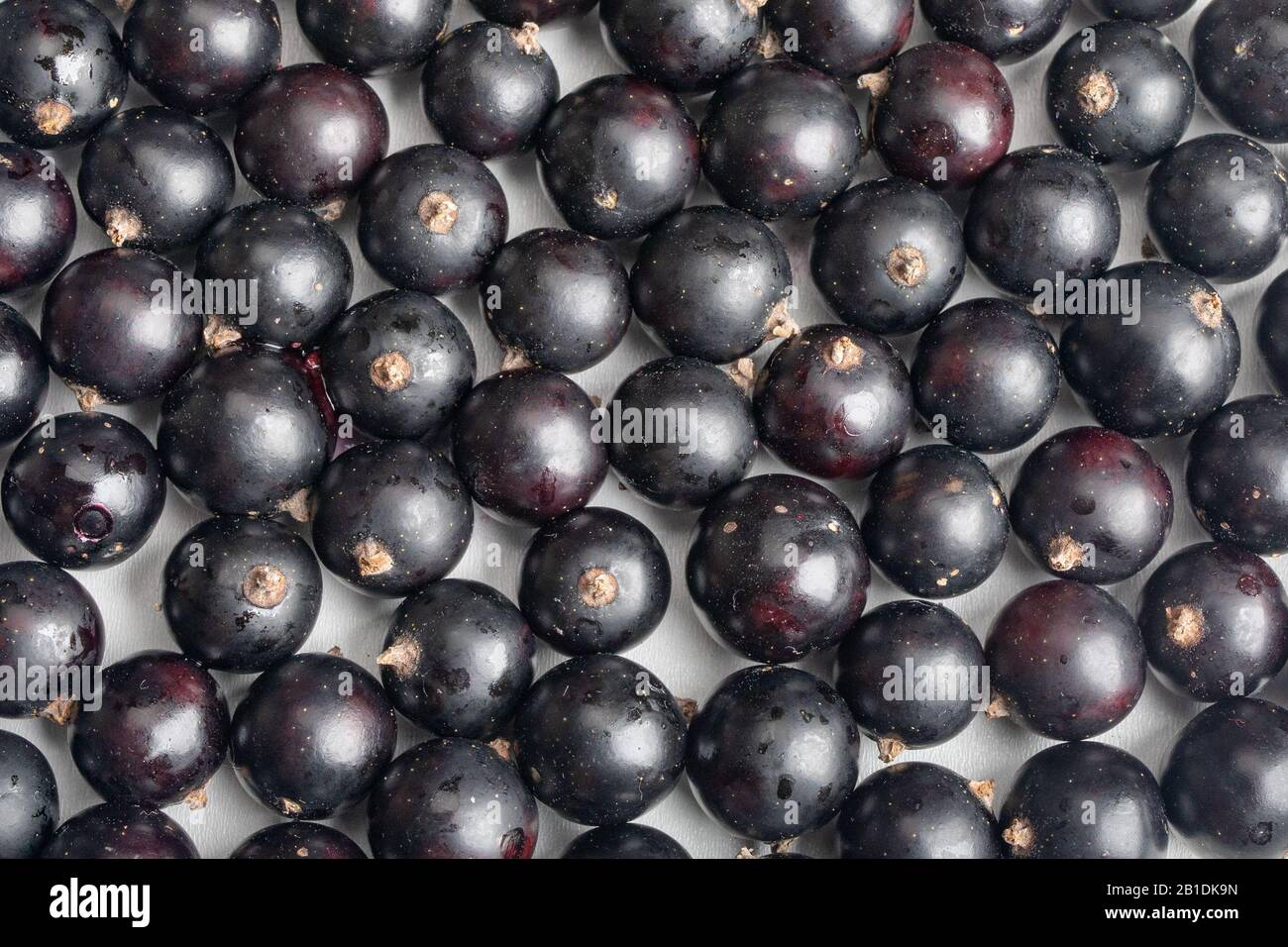 bacche di ribes nero primo piano, vista dall'alto. Sfondo nero bacche. Foto Stock
