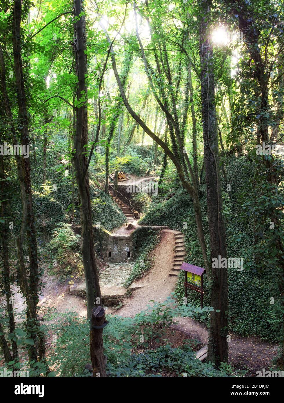 Haluzice valey con il verde della foresta e cascate - Slovacchia Foto Stock