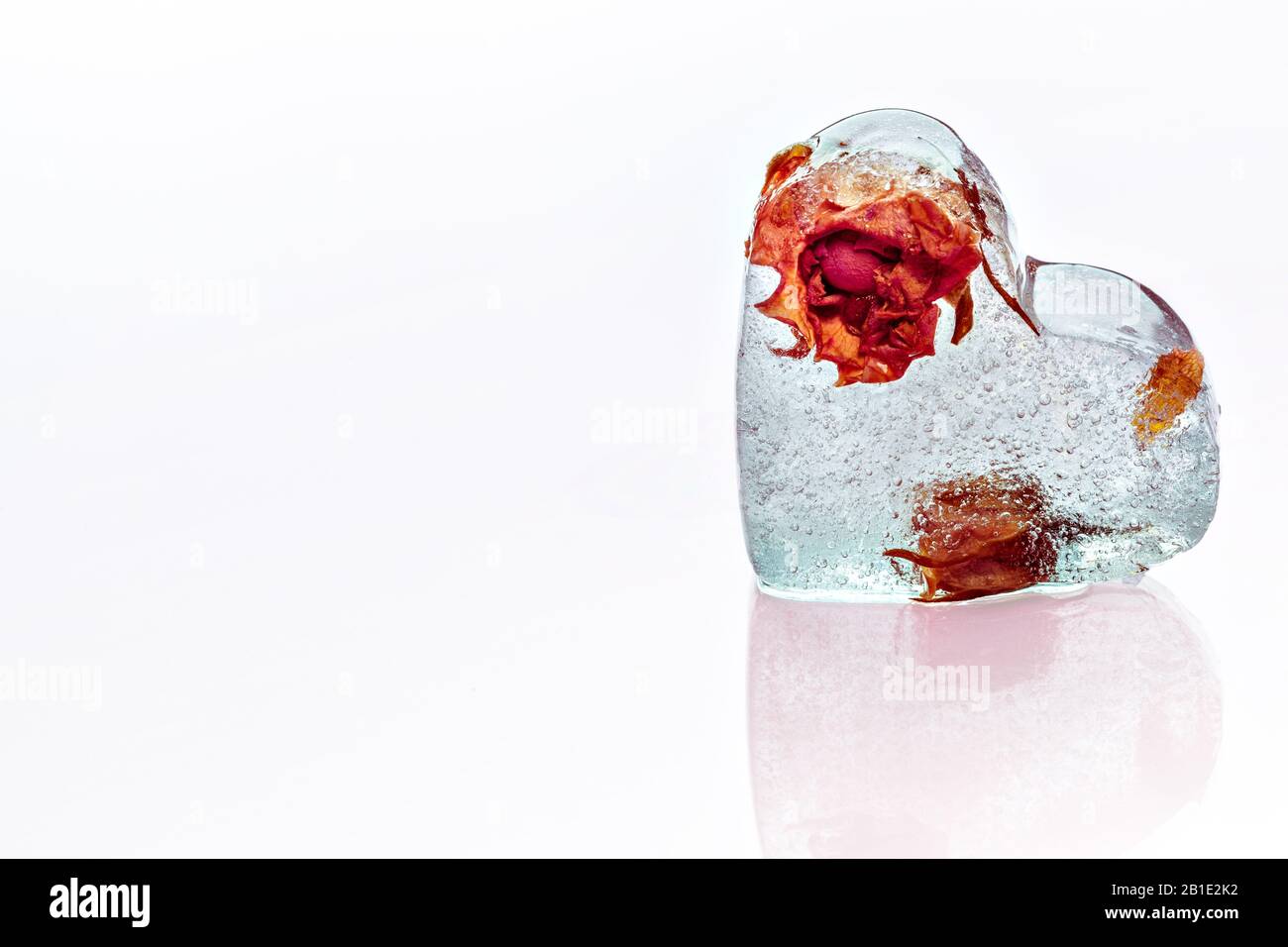 Rosa ghiacciata in cubetto di ghiaccio. Foto creativa. Foto Stock