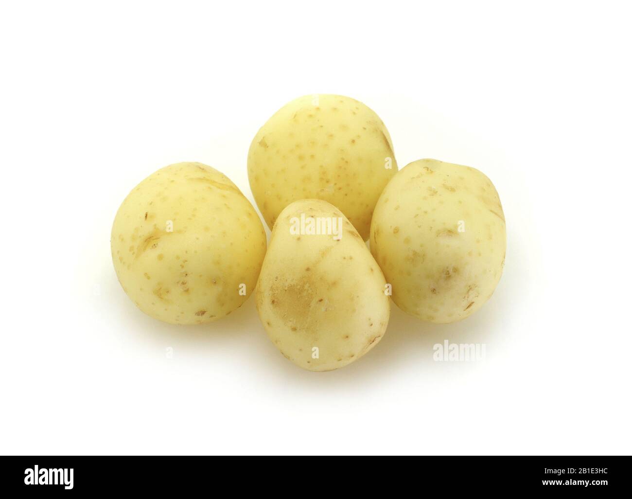 patata giovane isolata su bianco. Patate isolate su fondo bianco, patate Isolate. Foto Stock