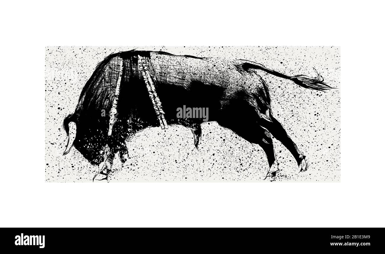 Bull durante corrida in Portogallo - illustrazione vettoriale (Ideale per la stampa su tessuto o carta, poster o carta da parati, decorazione della casa) Illustrazione Vettoriale