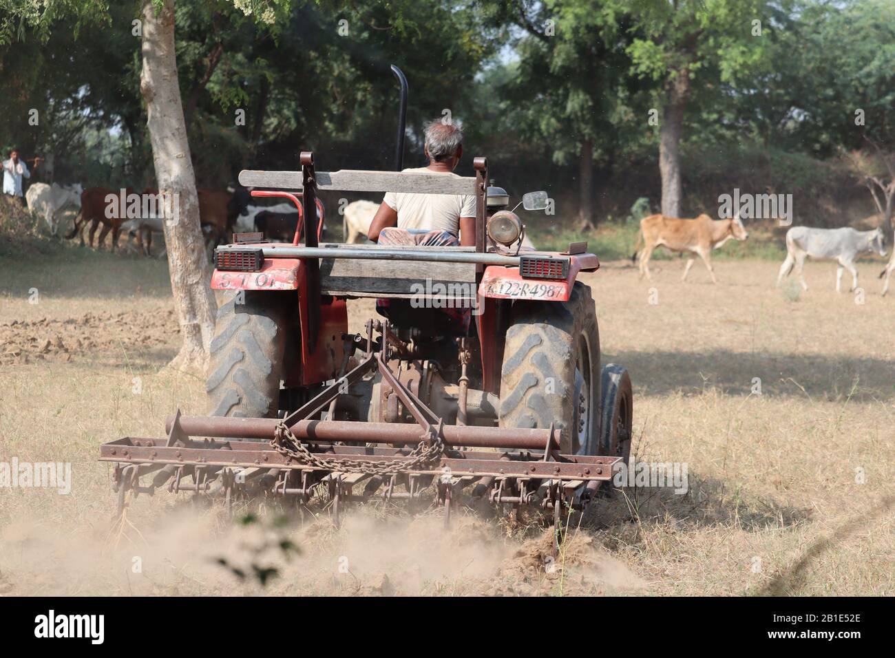 Il trattore coltiva a terra da coltivatore , immagine di coltivatore indiano, jay kishan jay jawan . Foto Stock