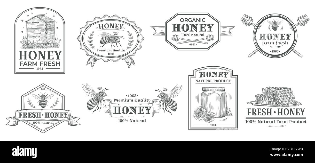 Distintivo di miele naturale. API etichetta fattoria, miele prodotto vintage badge disegnati a mano e ape emblema vettore illustrazione set Illustrazione Vettoriale