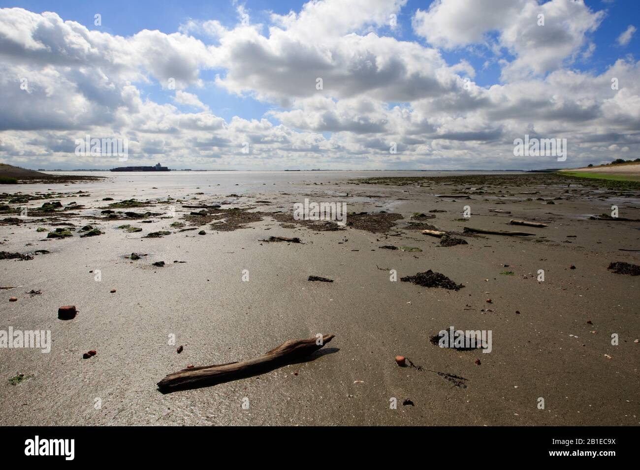 Bassa marea a Westerschelde, Paesi Bassi, Zeeland, Zuid-Beveland Foto Stock