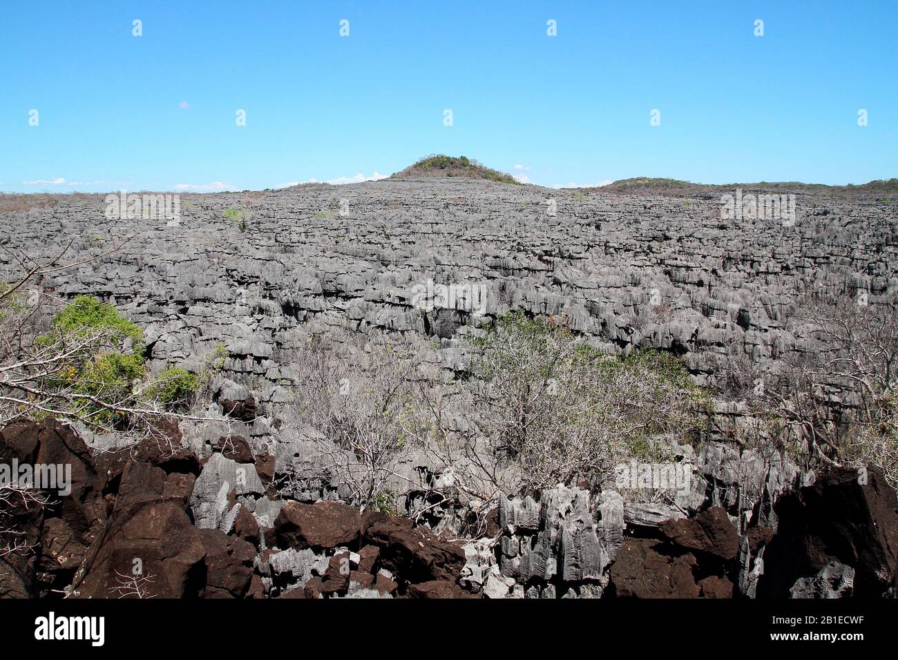 Flusso di lava nella barriera corallina fossile di Tsingy di Ankarana, 18 220 ha NP oltre 35 km, Nord-Ovest Madagascar Foto Stock