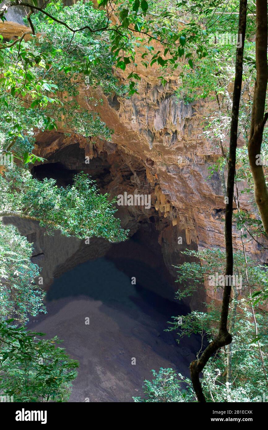 Ankarana NP, monumentale ingresso alla grotta di pipistrelli scavati nella barriera corallina fossile Tsingy, PN 18 220 ha su 35 km, Nord-Ovest Madagascar Foto Stock