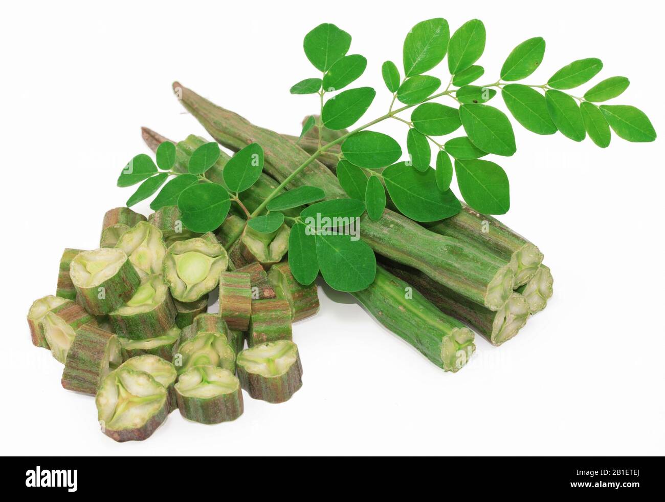 moringa oleifera con foglia isolata su sfondo bianco Foto Stock