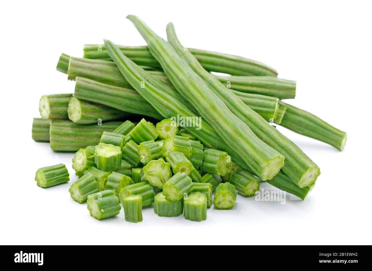 Moringa oleifera isolato su sfondo bianco Foto Stock