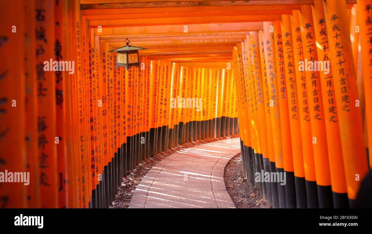 Porte torii rosse a Fushimi Inari Foto Stock