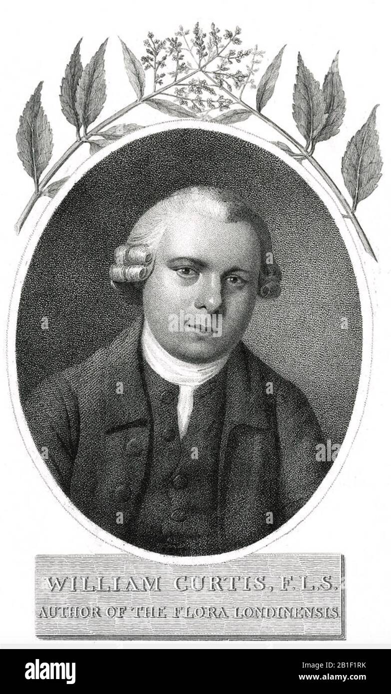 William CURTIS (1746-1799) botanico e entomologo inglese Foto Stock