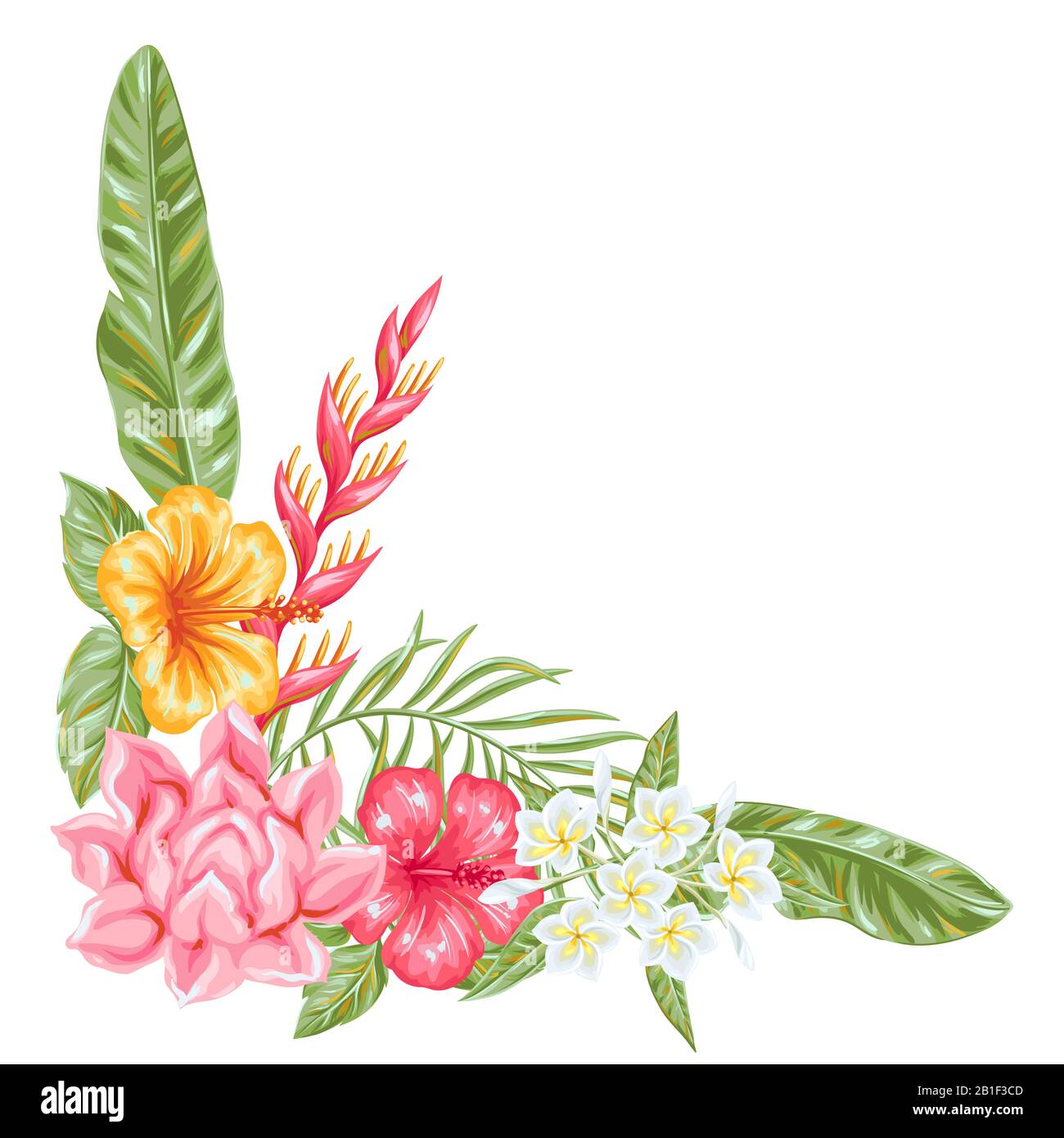 Elemento decorativo con fiori e foglie tropicali. Illustrazione Vettoriale