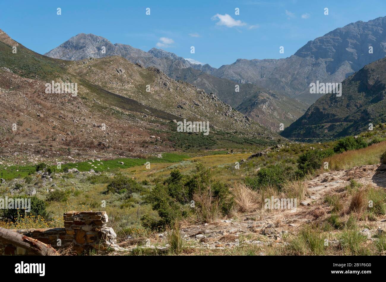 Michell'S Pass, Ceres, Western Cape, Sud Africa. 2019. Michell's Pass, vicino alle montagne Ceres e Skurweberg nel Capo Occidentale, Sud Africa Foto Stock